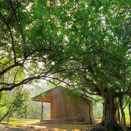 Clay Hut Village Polonnaruwa Exteriör bild