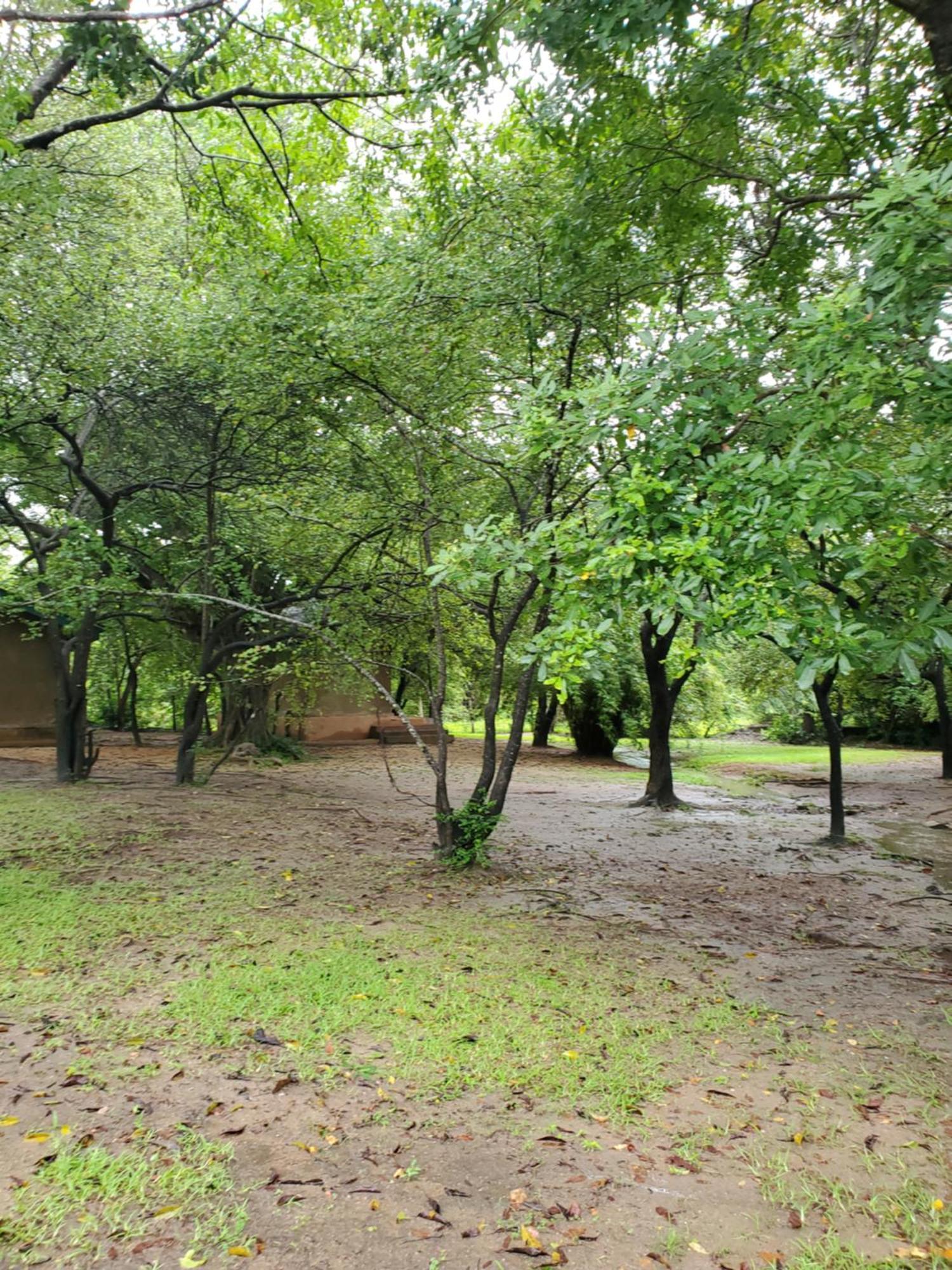 Clay Hut Village Polonnaruwa Exteriör bild