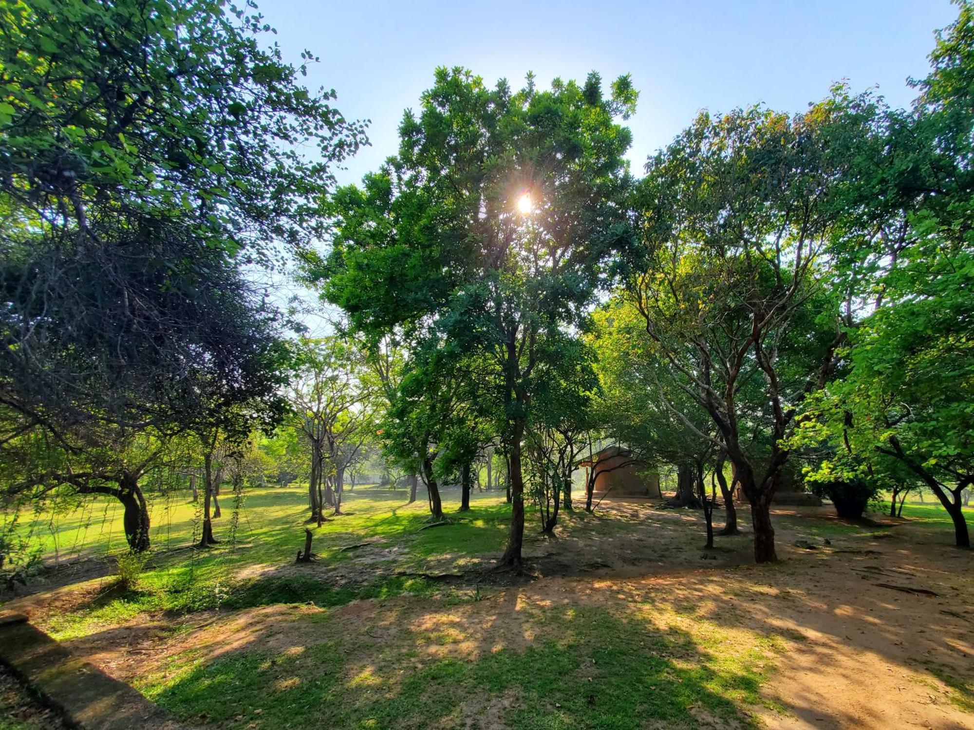 Clay Hut Village Polonnaruwa Exteriör bild